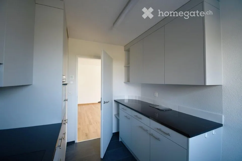Attractive, high-quality renovated 4.5-room apartment on the ground floor – first occupancy after renovation