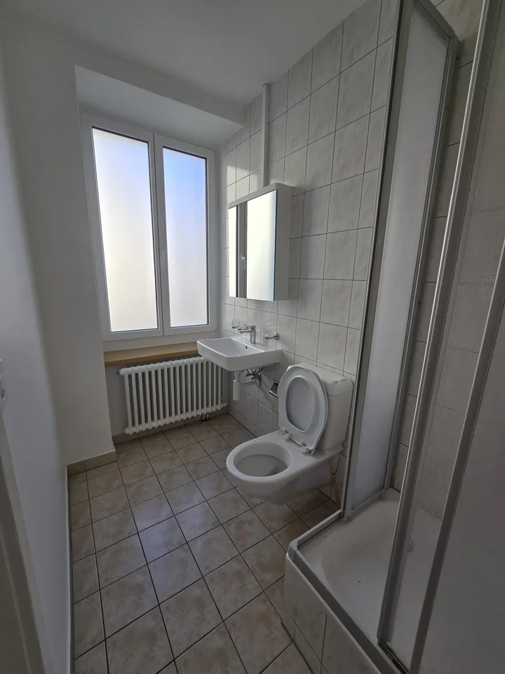 Appartement de 3 pièces lumineux à louer à La Chaux-de-Fonds – photo 6 sur 7