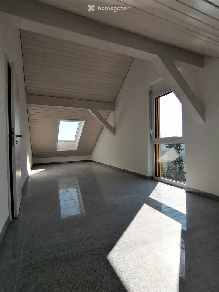 Architect's villa for rent, close to Lausanne