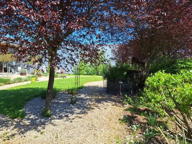 La location di eventi e feste "Pyramide" è in vendita – foto 8 di 30