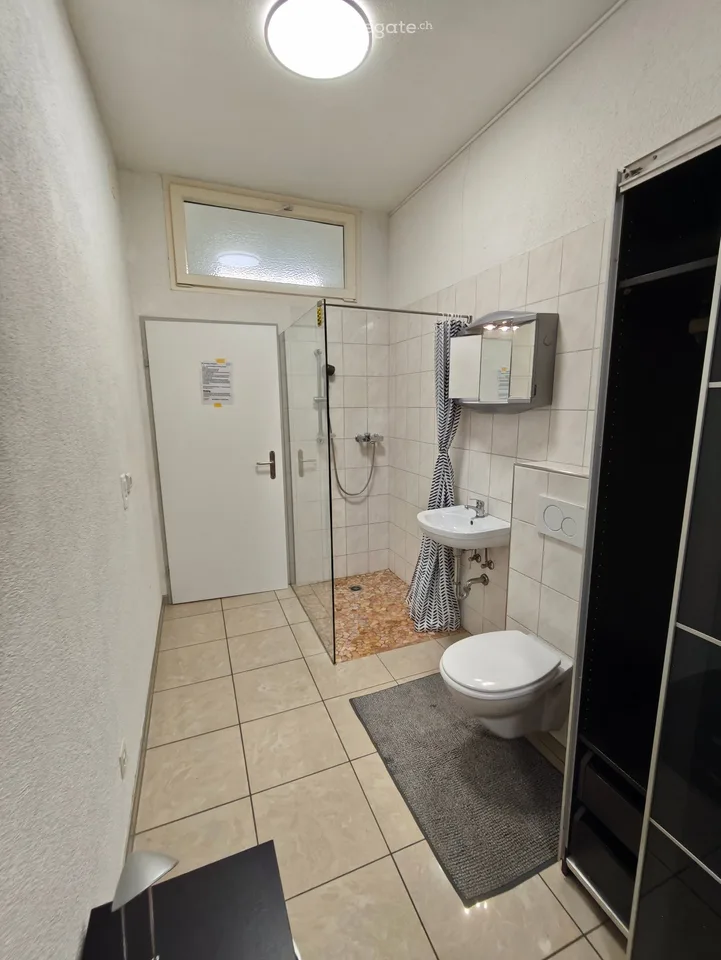 Ab SOFORT Frei 1 Zi Wohnung in Mauren TG