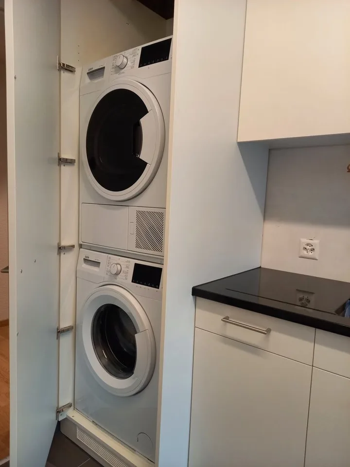 Appartamento in vecchio edificio ristrutturato vicino a Goldbrunnenplatz – foto 4 di 9