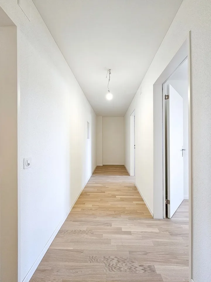 Cozy living in Niederhasli