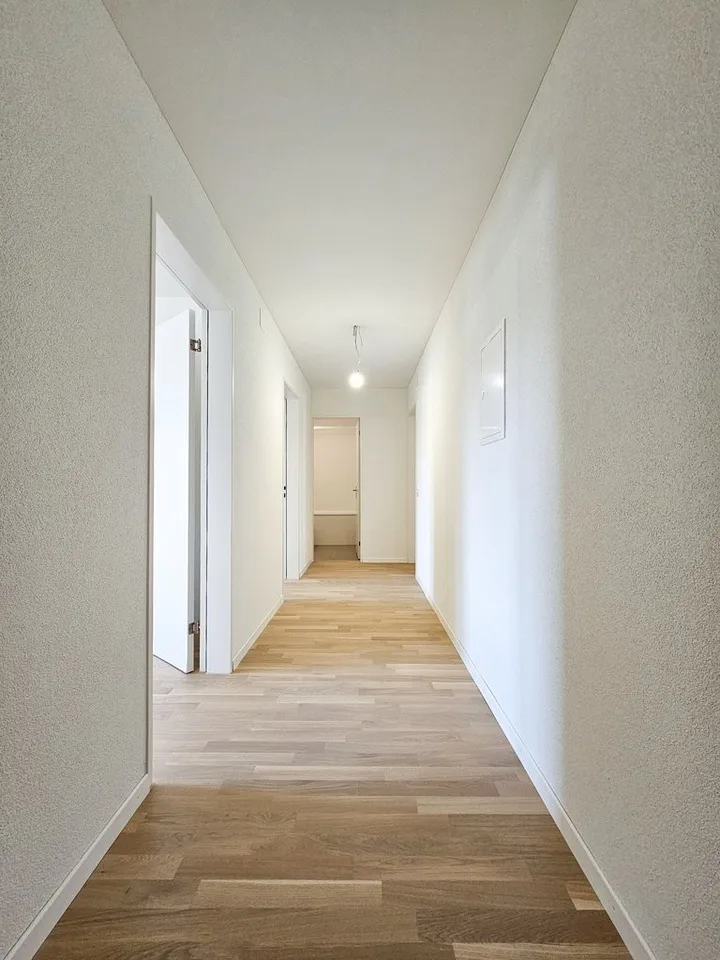 Cozy living in Niederhasli