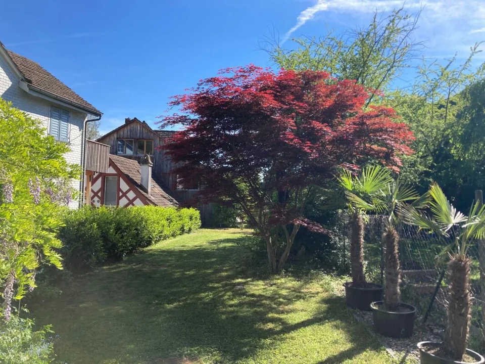 Grosszügiges Altstadthaus mit Garten in der Weinfelder Altstadt
