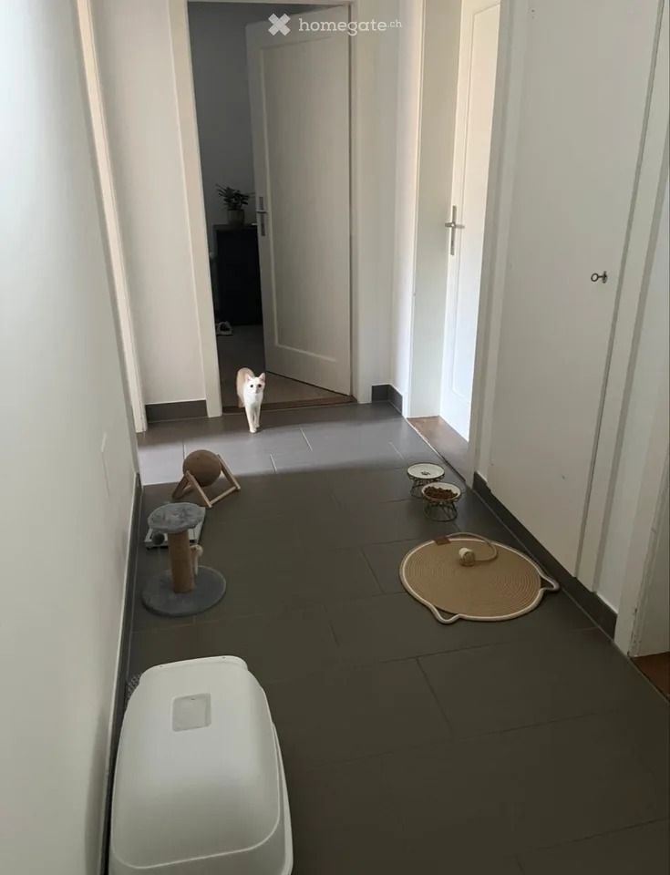 Room available in a charming 3-room apartment in Bevaix