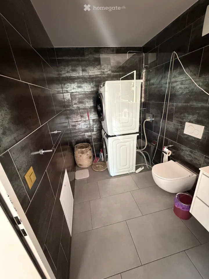 Charmante 2.5-Zimmer-Attikawohnung in Wallisellen – Modern, hell und sofort verfügbar!