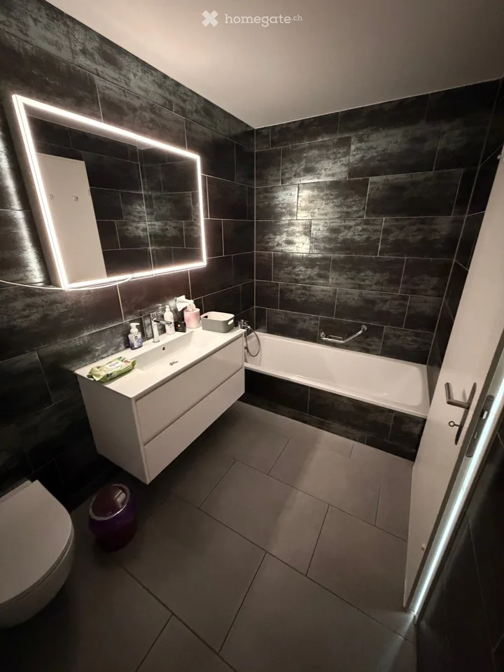 Charmante 2.5-Zimmer-Attikawohnung in Wallisellen – Modern, hell und sofort verfügbar!