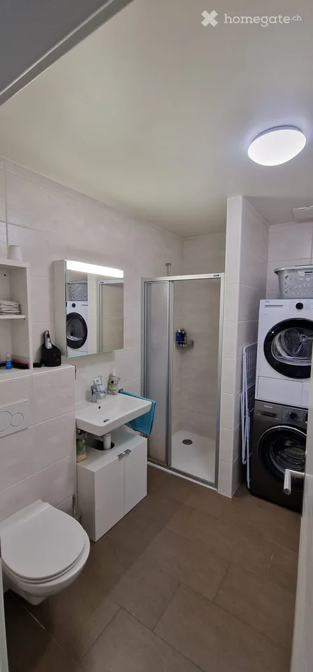 ZU VERMIETEN DUPLEX-WOHNUNG 4,5 ZIMMER 110 m²