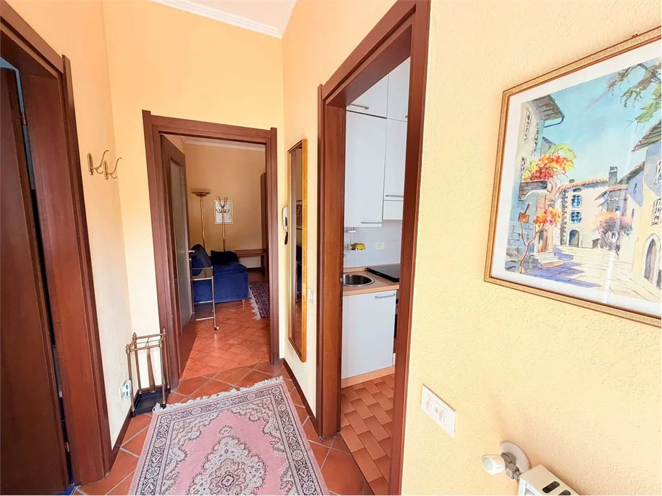 Grazioso monolocale in una posizione tranquilla e soleggiata con pisci – foto 2 di 13