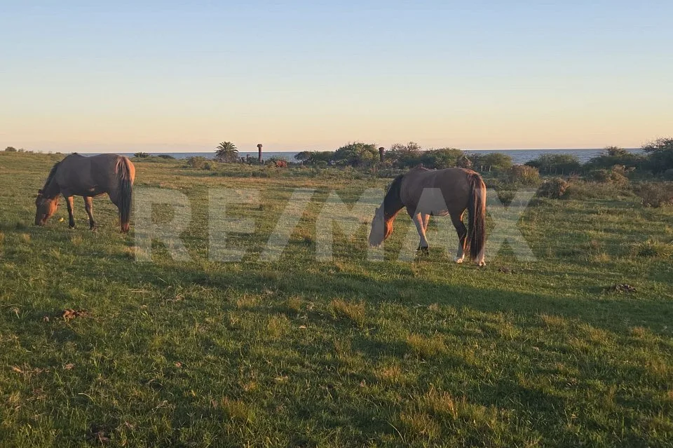 L'Uruguay, la Suisse de l'Amérique du Sud , de superbes terrains à bâtir en bord de mer ! – Foto 4 von 13