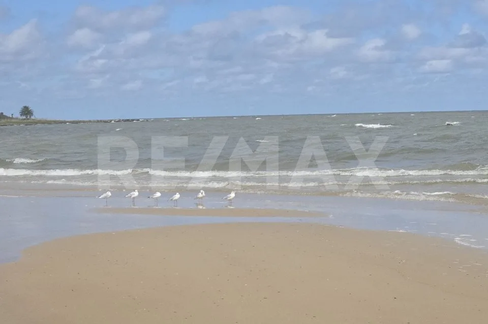 L'Uruguay, la Suisse de l'Amérique du Sud , de superbes terrains à bâtir en bord de mer ! – Foto 10 von 13