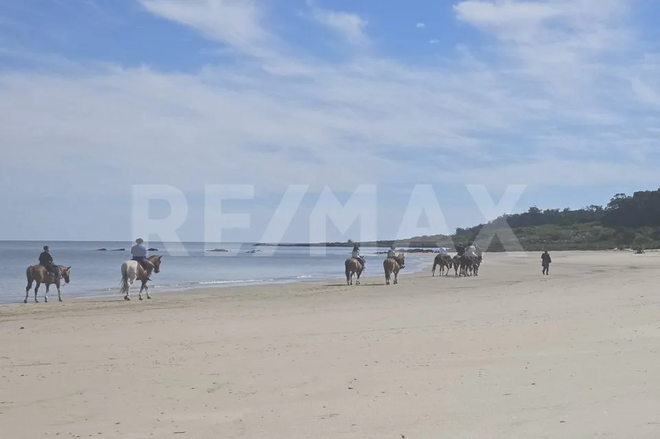 L'Uruguay, la Suisse de l'Amérique du Sud , de superbes terrains à bâtir en bord de mer ! – Foto 12 von 13