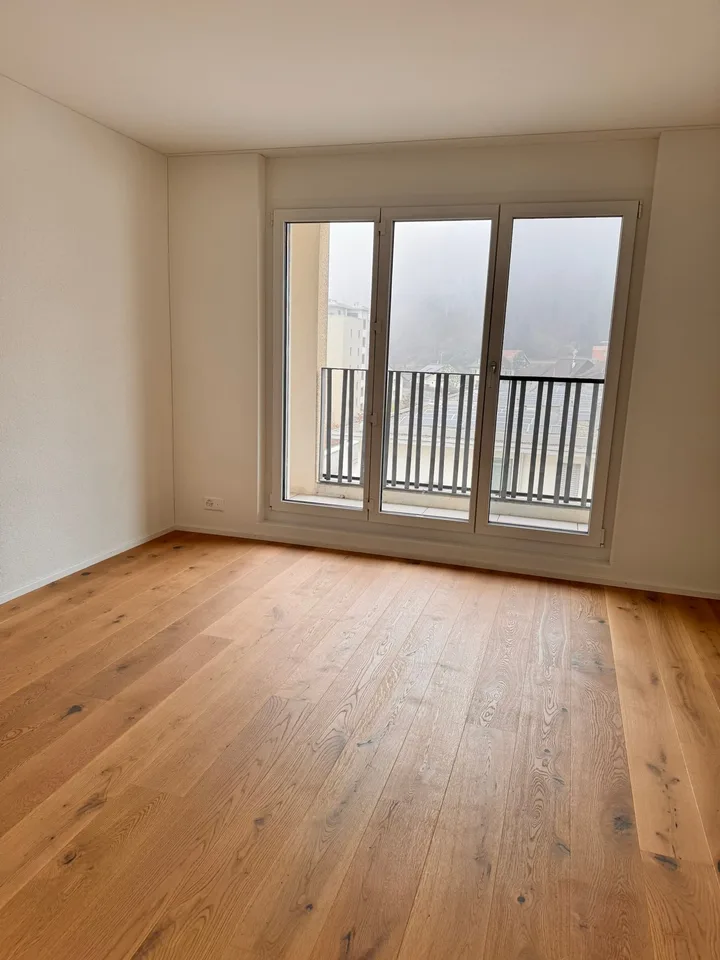 Modern 3.5-room apartment with balcony and beautiful view in Zwingen