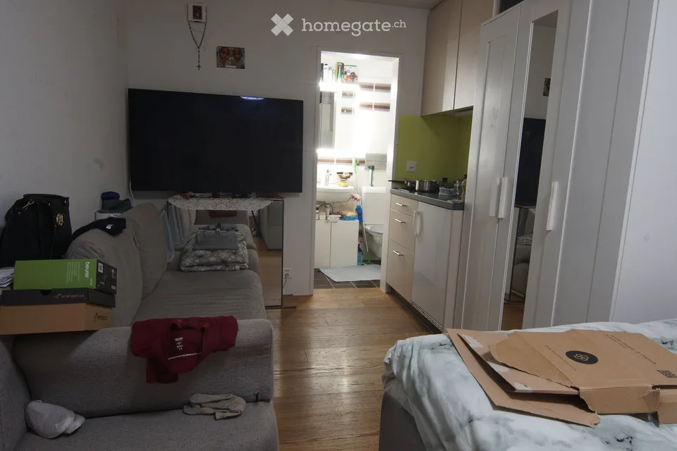 Appartement-studio meublé à Illnau – idéal pour les personnes seules