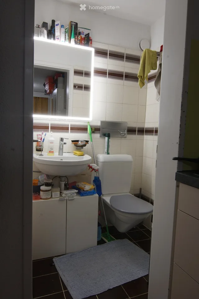 Appartement-studio meublé à Illnau – idéal pour les personnes seules