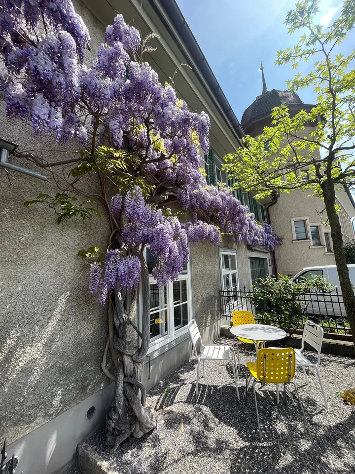 WG-Zimmer in Malans GR