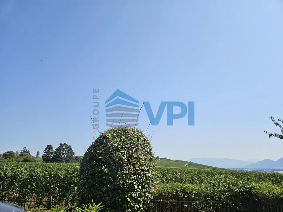 Magnifique villa familiale rénovée avec piscine à Sezenove Bernex