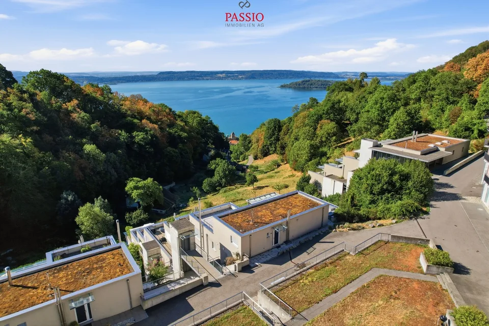 Rêve de maison au-dessus du lac de Bienne avec une terrasse de 92 m² – photo 3 sur 20