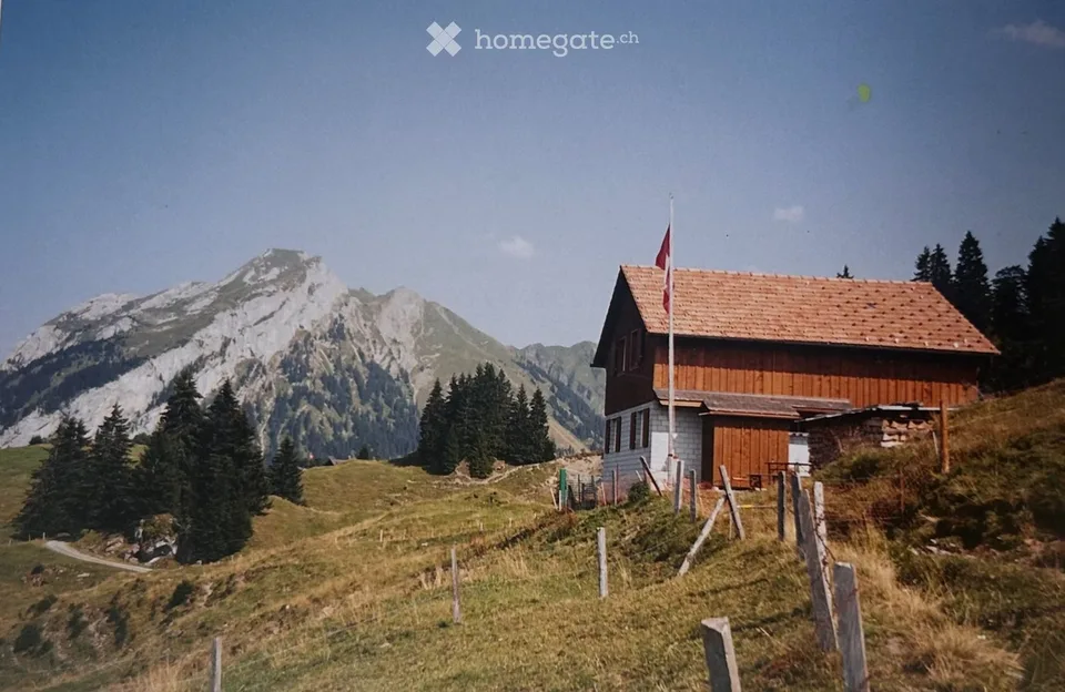 Alpine Hut