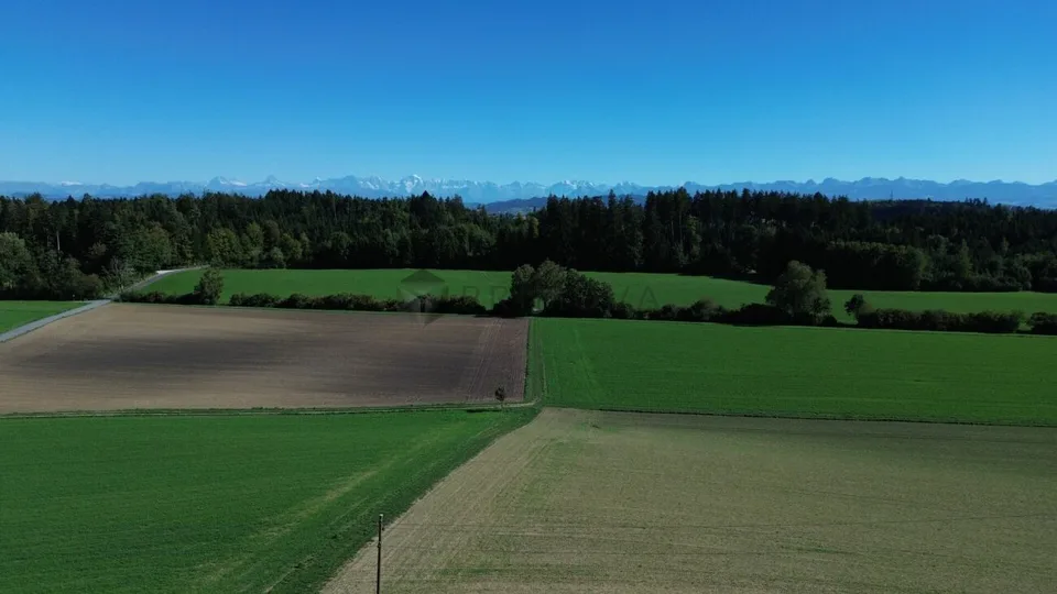 Exklusives Wohndomizil mit Aussenpool, grosser Parzelle und Panorama-Weitsicht in Meikirch – Foto 12 von 12