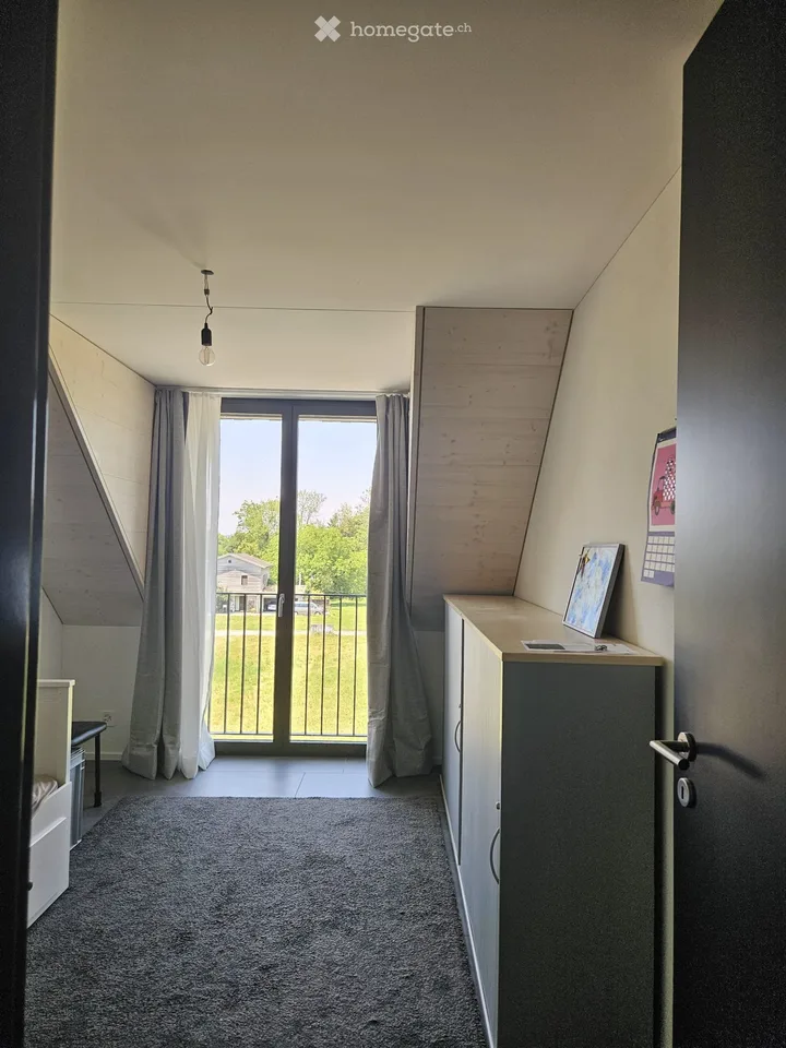 Exceptional new attic apartment in Itzikon (near Grüningen)