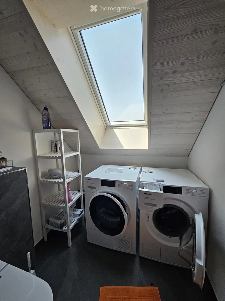 Exceptional new attic apartment in Itzikon (near Grüningen)