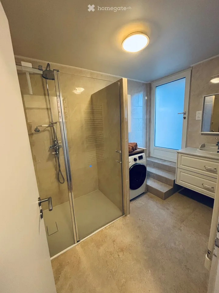 Rent renovated apartment near Geneva (Sauverny, FR)