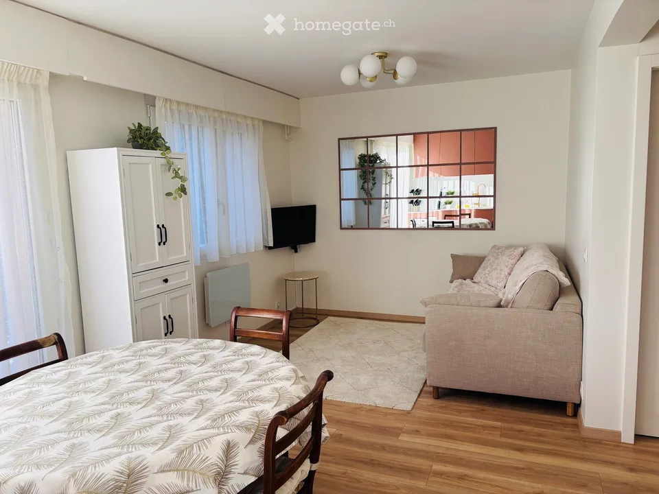 Rent renovated apartment near Geneva (Sauverny, FR)