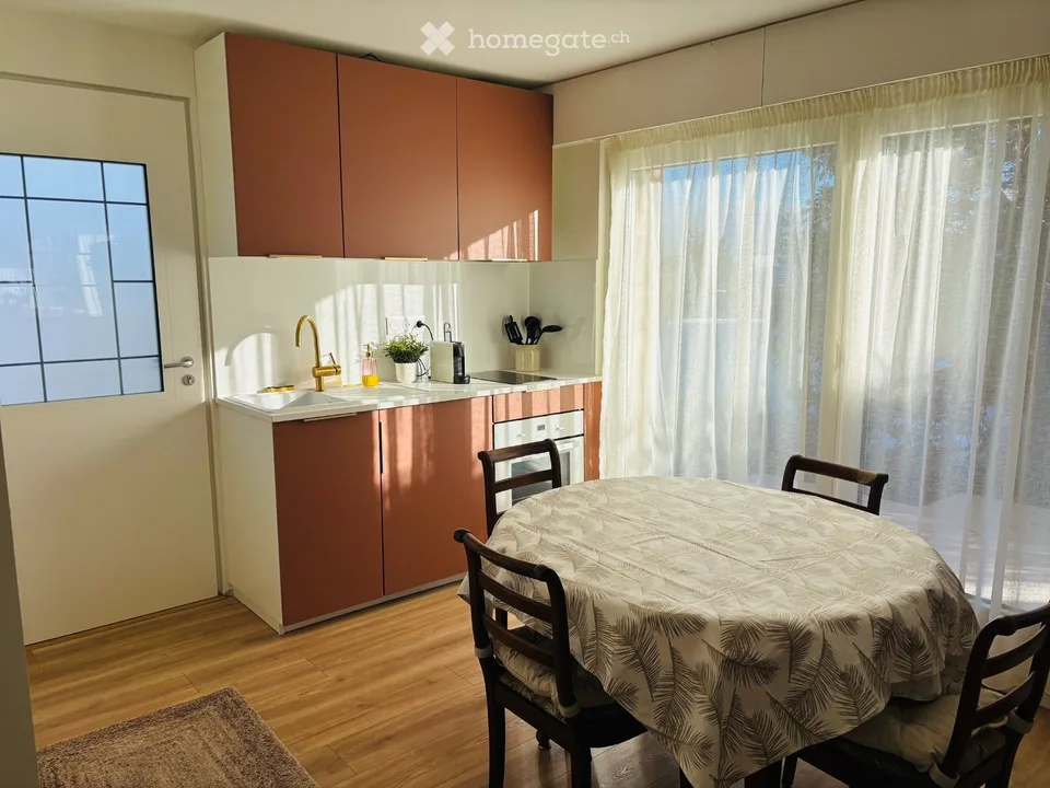Rent renovated apartment near Geneva (Sauverny, FR)