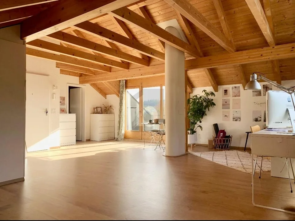 SUN TERRACE WITH PANORAMIC VIEW - NEAR THE AARE – photo 3 of 7