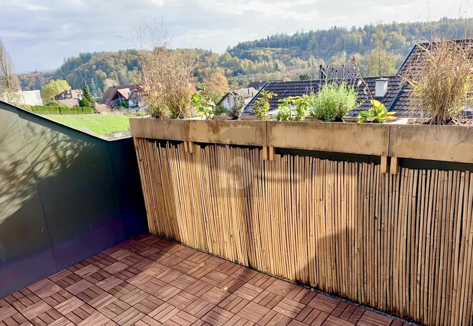 SUN TERRACE WITH PANORAMIC VIEW - NEAR THE AARE – photo 2 of 7