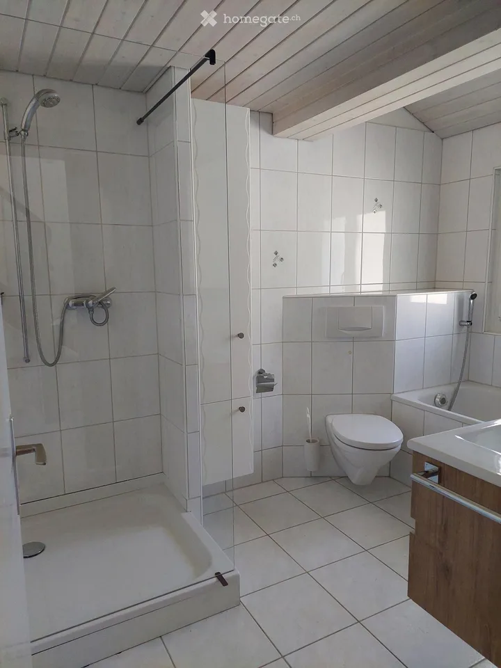 Newly renovated 6.5-room single-family house in Silenen