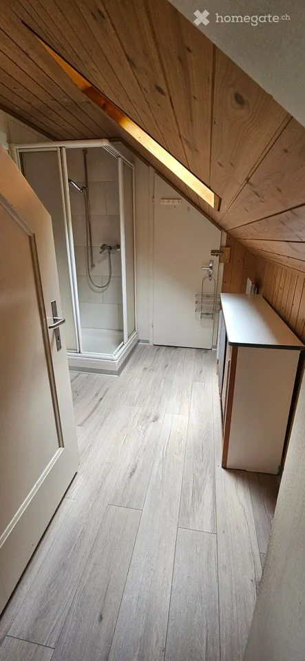 3 Zimmer-Dach-Wohnung zu vermieten