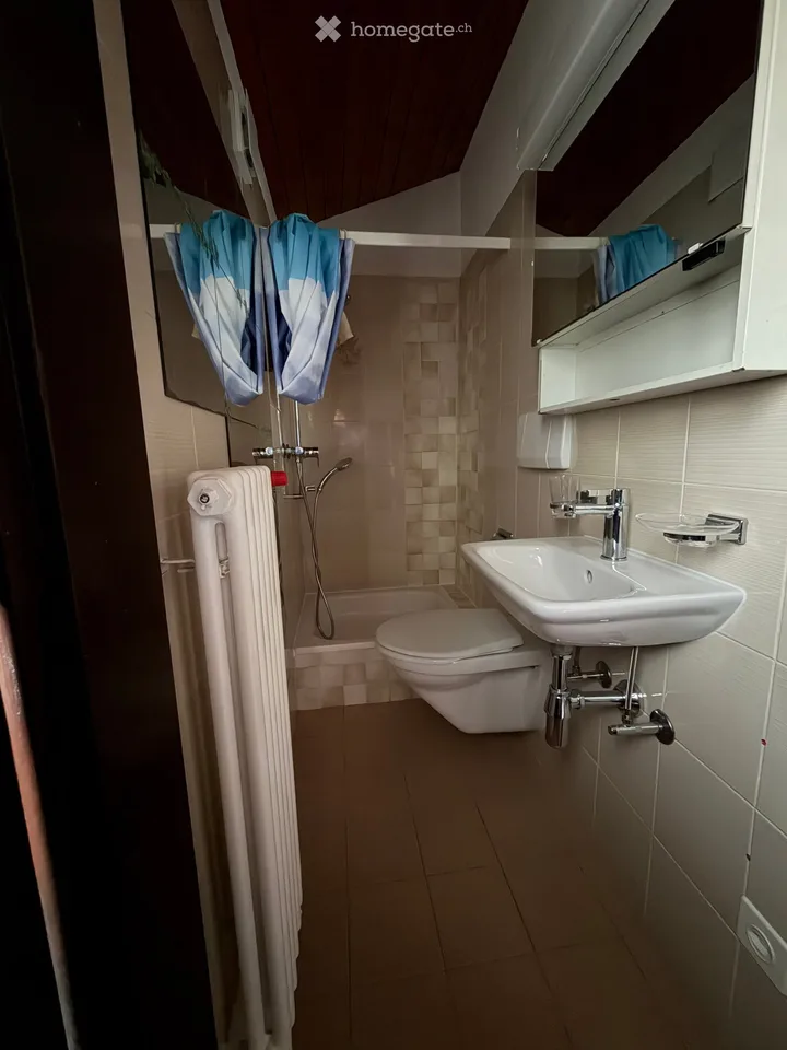 Schönes Dachgeschoß-Einzimmerapartment