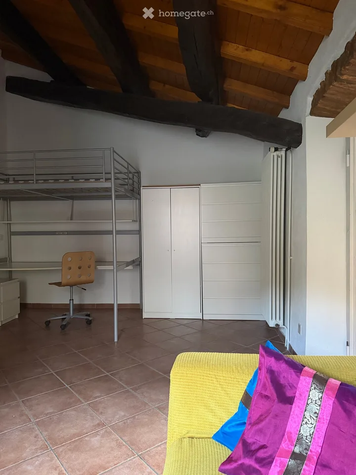 Schönes Dachgeschoß-Einzimmerapartment