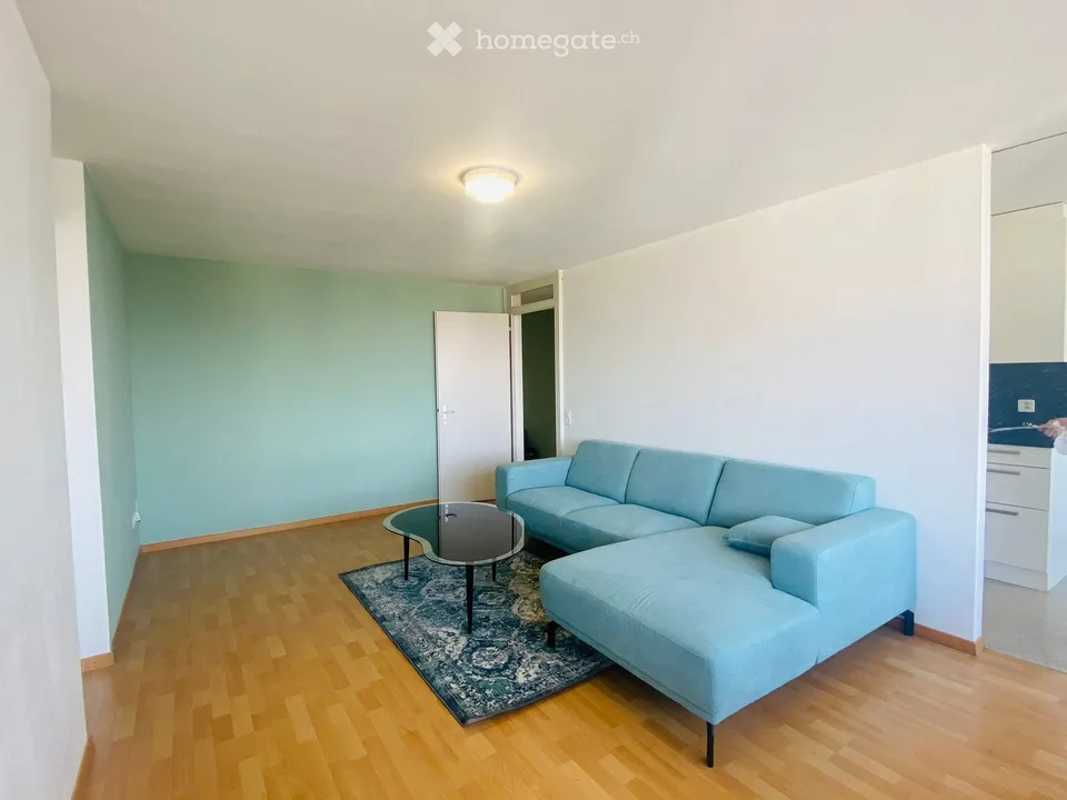 Möblierte 5-Zimmer-Wohnung mit Panoramablick im 8. Stock – Pfäffikon SZ
