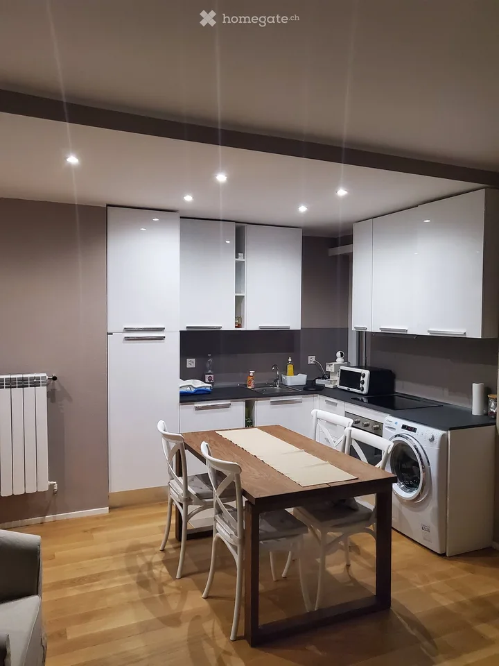 Möblierte 2.5-Zimmer-Wohnung in Paradiso, Lugano