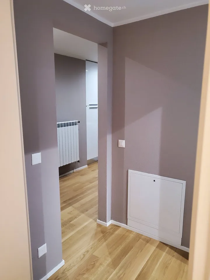 Möblierte 2.5-Zimmer-Wohnung in Paradiso, Lugano