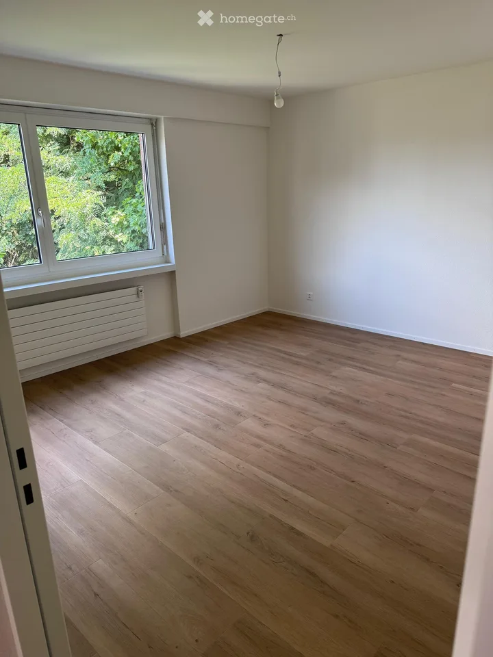 Appartement terrasse lumineux 4.5 pièces à Rheinfelden