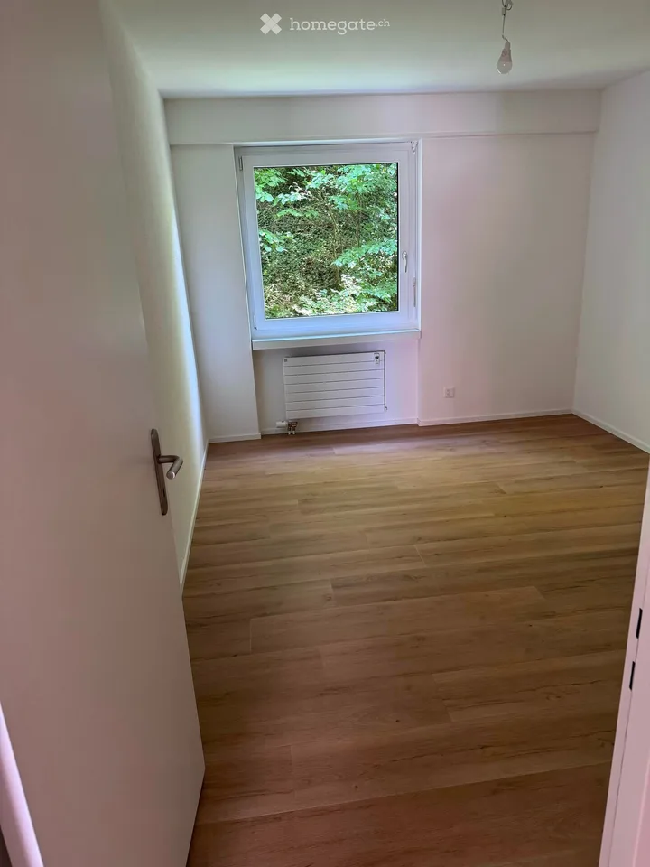 Appartement terrasse lumineux 4.5 pièces à Rheinfelden