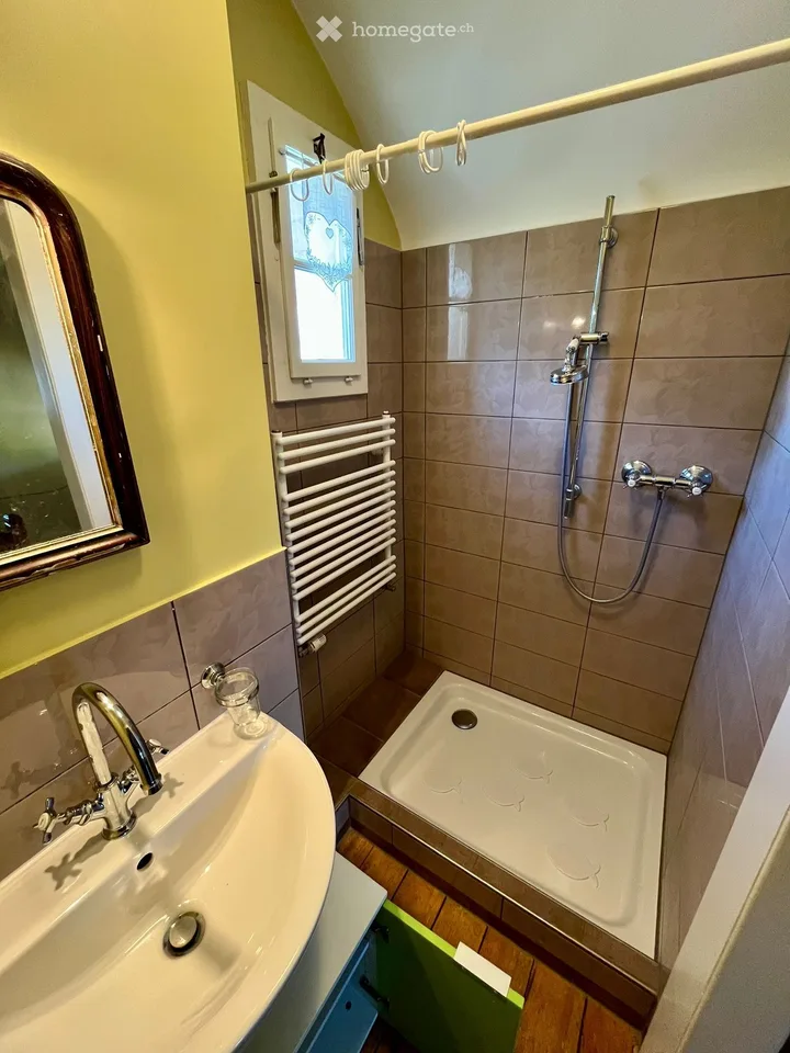 Charming house with large fully enclosed garden