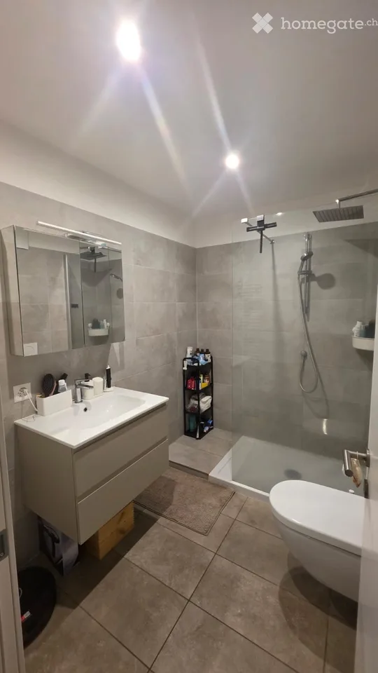 Recherche sous-locataire - Appartement 2.5 pièces