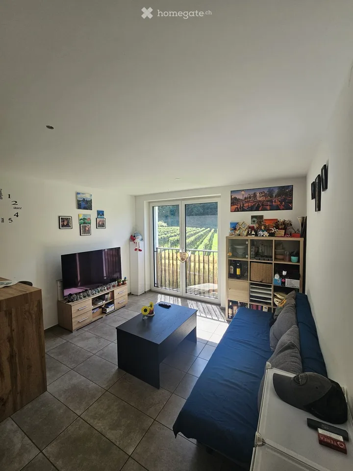 Recherche sous-locataire - Appartement 2.5 pièces