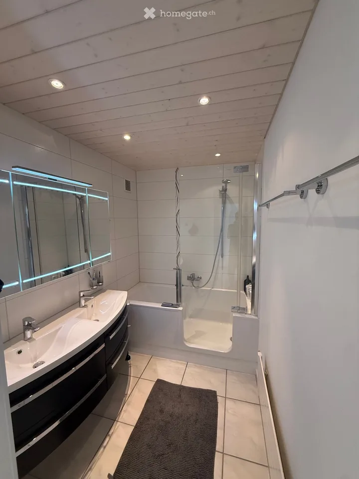 Grand appartement - sous location
