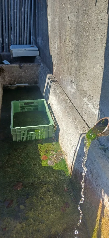 À 7 minutes de Fribourg, St-Ours ferme à rénover à vendre – photo 4 sur 11