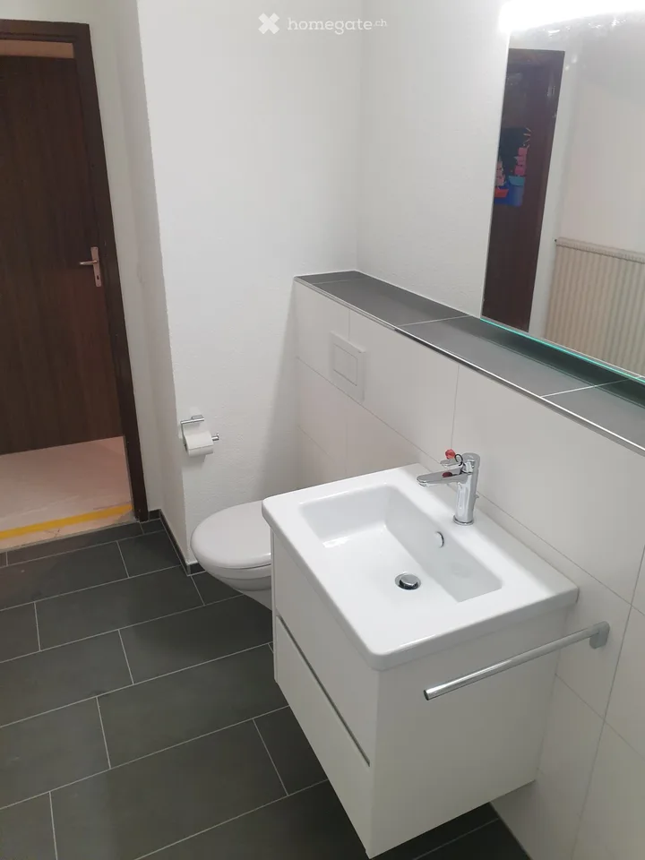 3.5-room apartment with balcony and beautiful view in Haag (Rheintal)