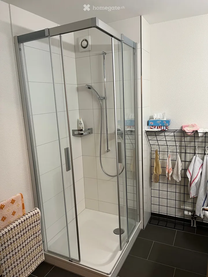 3.5-room apartment with balcony and beautiful view in Haag (Rheintal)