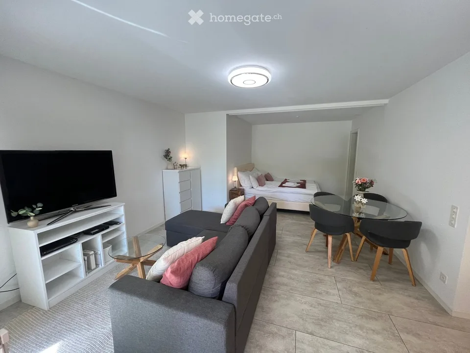 Appartement de vacances à Muralto près de Locarno