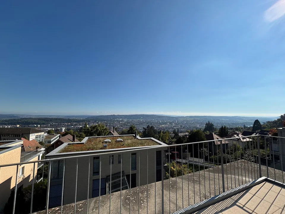 Appartement de 5,5 pièces en attique avec vue sur les Alpes – photo 17 sur 17